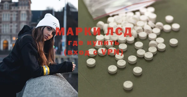 гашик Богданович