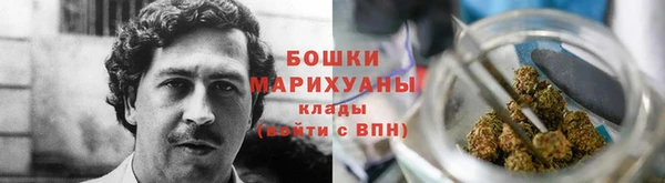 гашик Богданович