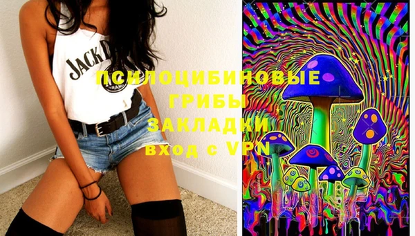 гашик Богданович