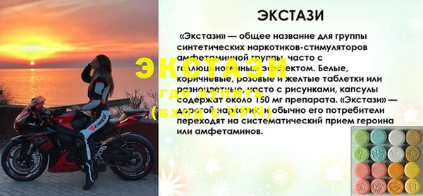 гашик Богданович