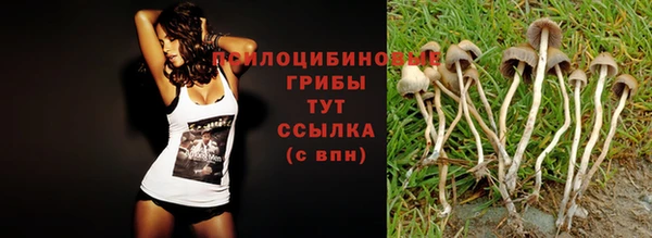мефедрон мука Богородицк